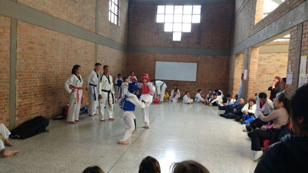 Clases de Taekwondo