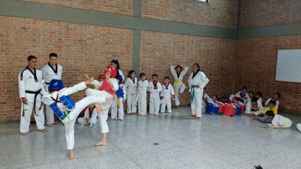 Cursos de Taekwondo en Bogotá, Salitre