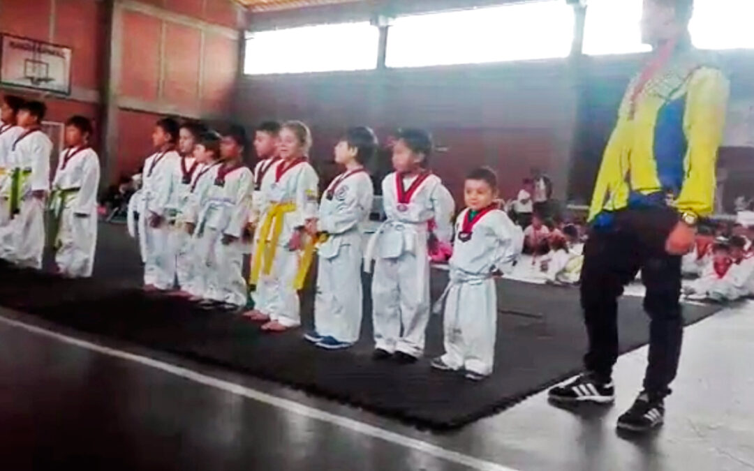 Galería de Videos: Estudiantes de Taekwondo en Dolphins Gym