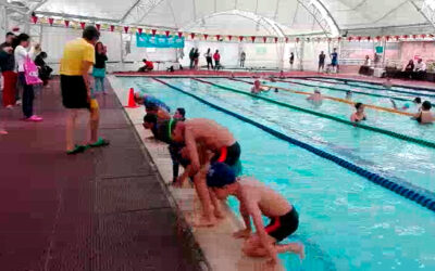 Demostración de los logros de los niños en clases de natación