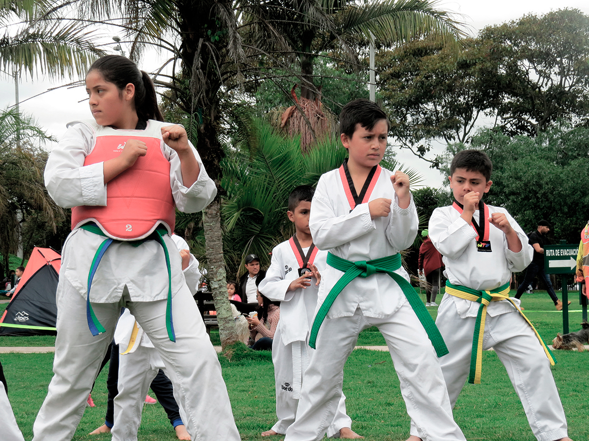 Clases De Taekwondo Para Niños Y Adultos, Escuela De Taekwondo Bogotá